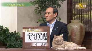 Illustration for article titled Cats Make Serious Japanese News Better